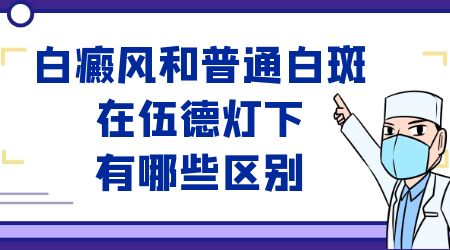 白癜风和普通白斑在伍德灯下图片