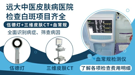 白斑和白癜风的区别图