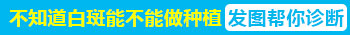 肢端部位白癜风做黑色素种植效果好吗