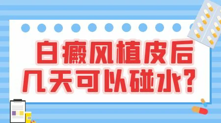 白癜风黑色素移植多久可以见水