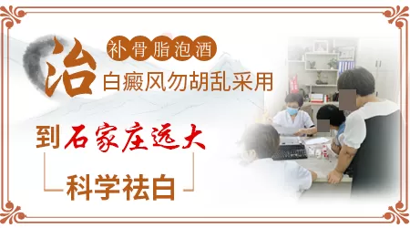 补骨脂泡酒对白癜风有用吗