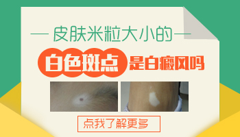 夏天手臂腿上有小白点和米粒大小差不多