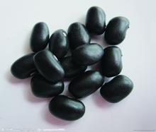 黑豆如何吃治疗白癜风才能有明显效果