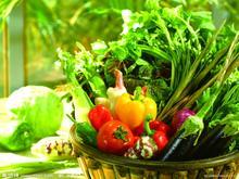 白癜风患者在治疗期间可以吃哪些蔬菜
