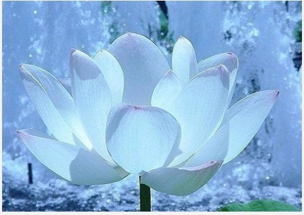  春季做白癜风植皮手术恢复的快吗