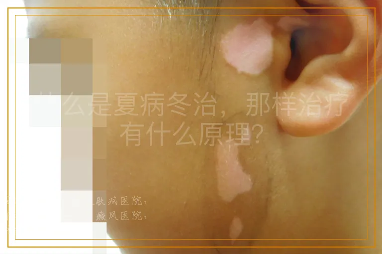 什么是夏病冬治，那样治疗有什么原理？