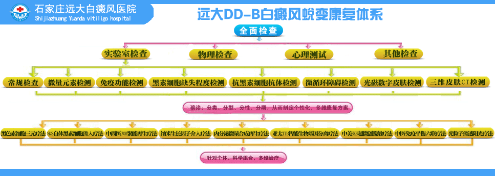 DD-B白癜风蜕变康复工程诊疗体系
